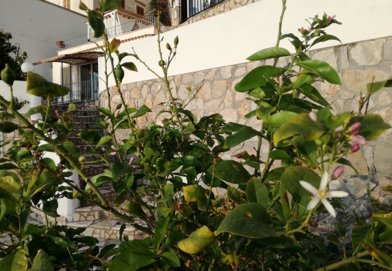Studio a Sperlonga - Casa Omero Sperlongaresort Studio a Sperlonga - Casa Omero Sperlongaresort