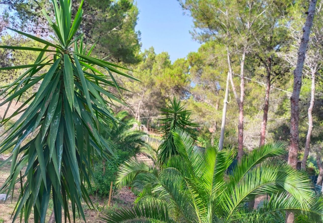 Baita a Sperlonga - Wild Wild Nest Sperlongaresort