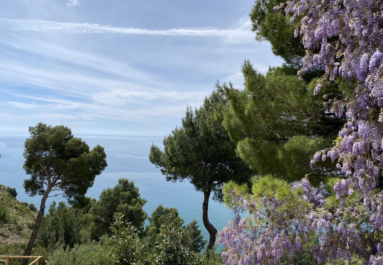 Villa a Sperlonga - Villa Il giardino di Ulisse  Sperlongaresort