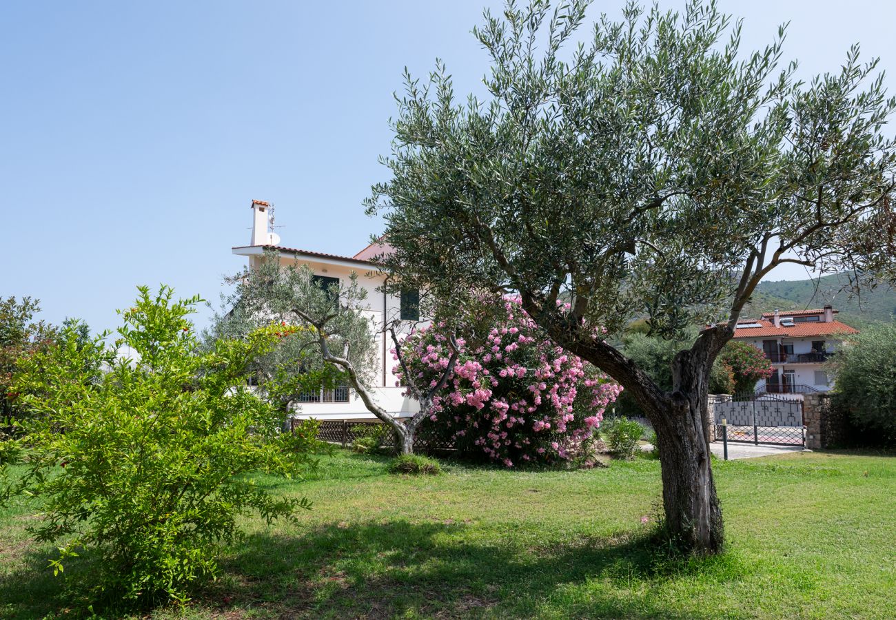 Villa a Sperlonga - Villa Minerva Sperlongaresort