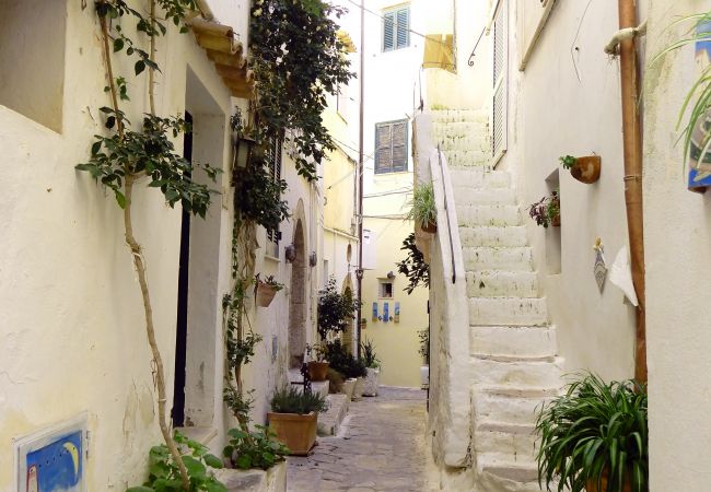 Апартаменты на Sperlonga - Casa Livia Sperlongaresort Апартаменты на Sperlonga - Casa Livia Sperlongaresort