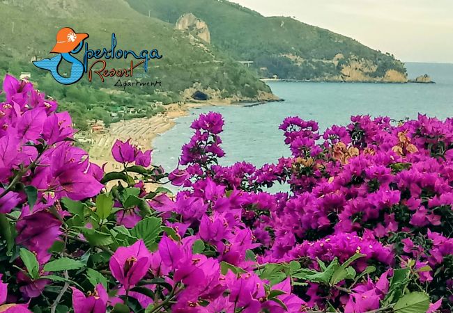 Апартаменты на Sperlonga - Casa Livia Sperlongaresort Апартаменты на Sperlonga - Casa Livia Sperlongaresort